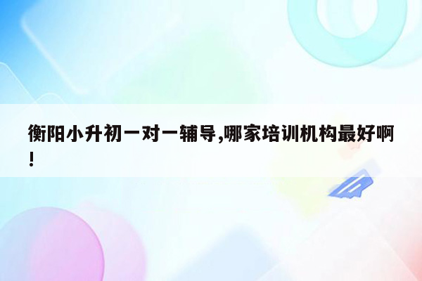 衡阳小升初一对一辅导,哪家培训机构最好啊!