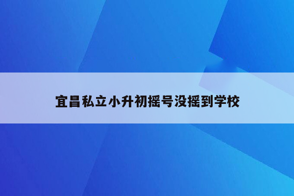 宜昌私立小升初摇号没摇到学校