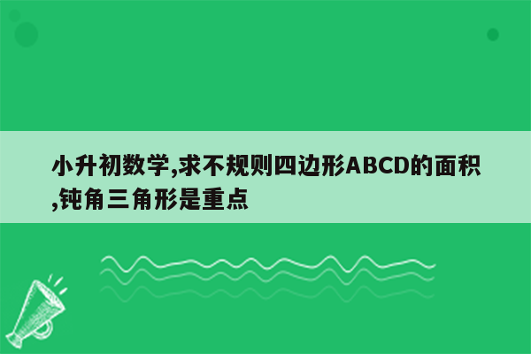 小升初数学,求不规则四边形ABCD的面积,钝角三角形是重点