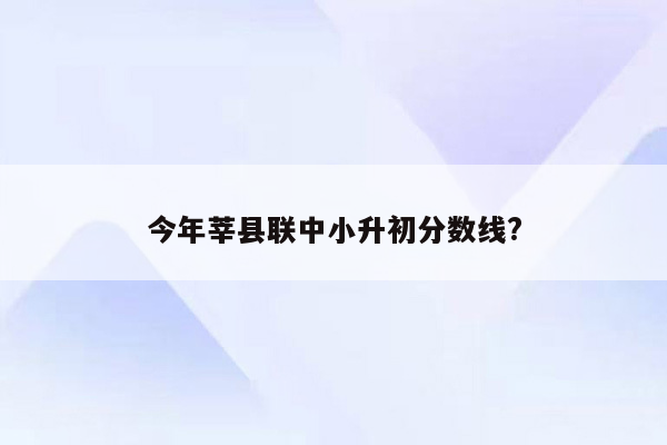 今年莘县联中小升初分数线?