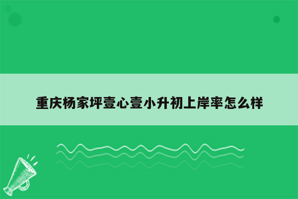 重庆杨家坪壹心壹小升初上岸率怎么样