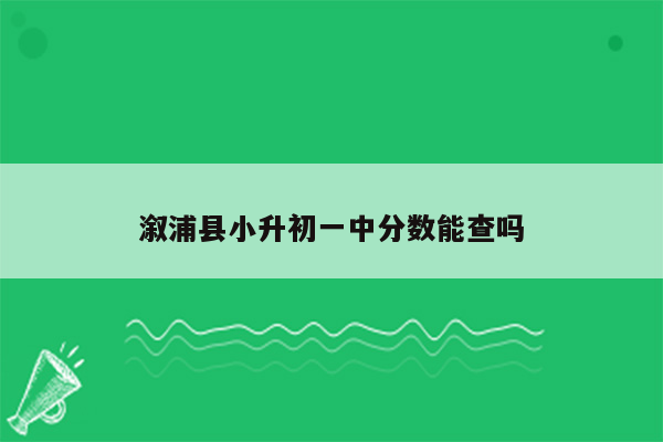 溆浦县小升初一中分数能查吗