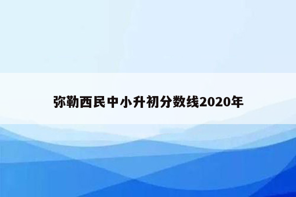 弥勒西民中小升初分数线2020年