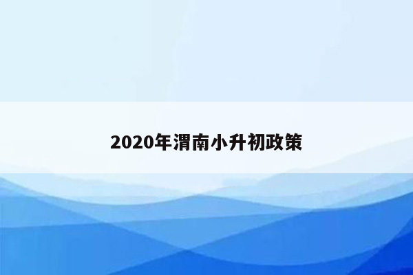 2020年渭南小升初政策