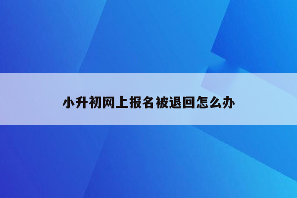 小升初网上报名被退回怎么办