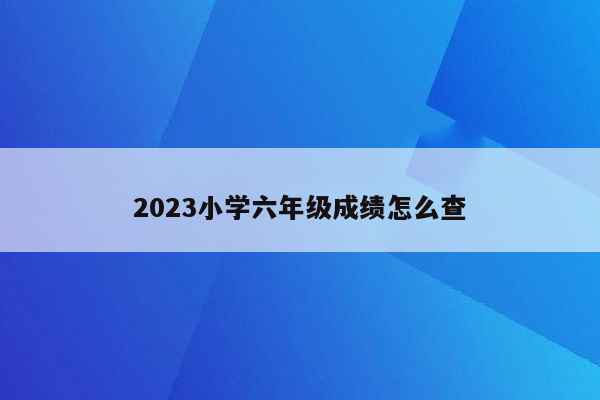 2023小学六年级成绩怎么查