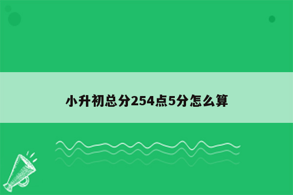 小升初总分254点5分怎么算