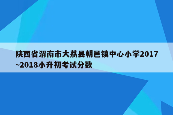 陕西省渭南市大荔县朝邑镇中心小学2017~2018小升初考试分数