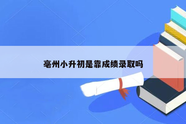 亳州小升初是靠成绩录取吗