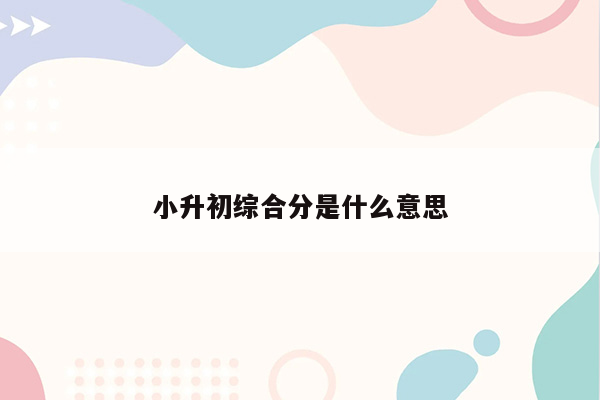 小升初综合分是什么意思