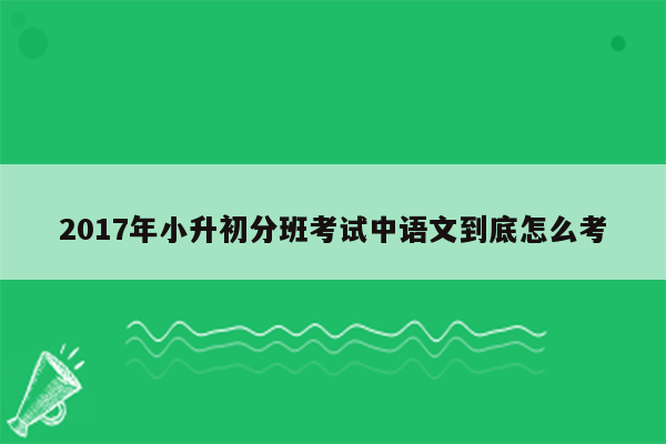 2017年小升初分班考试中语文到底怎么考