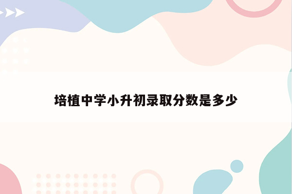 培植中学小升初录取分数是多少