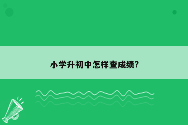 小学升初中怎样查成绩?