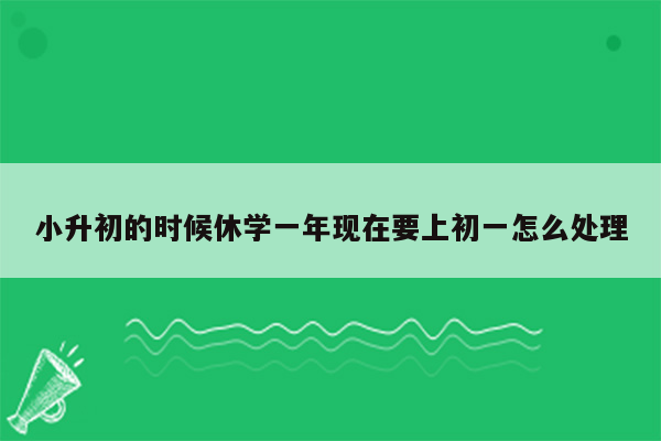 小升初的时候休学一年现在要上初一怎么处理