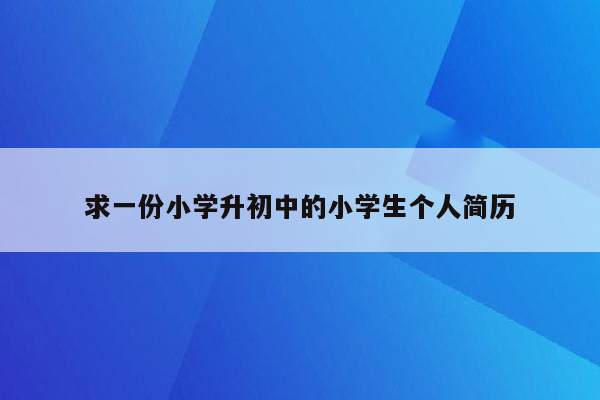 求一份小学升初中的小学生个人简历