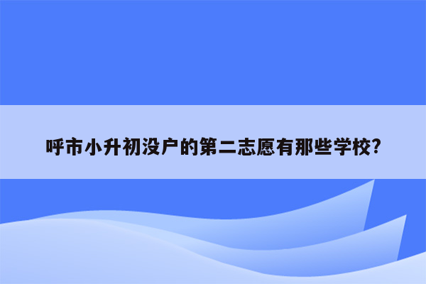 呼市小升初没户的第二志愿有那些学校?