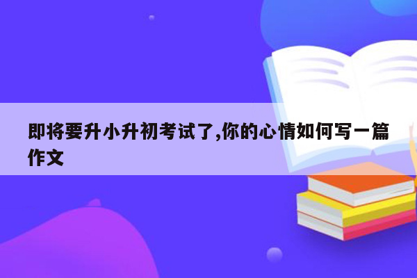 即将要升小升初考试了,你的心情如何写一篇作文