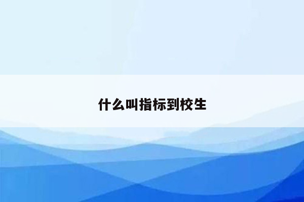 什么叫指标到校生