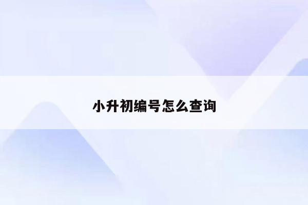 小升初编号怎么查询