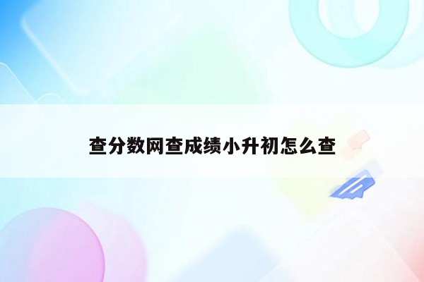 查分数网查成绩小升初怎么查