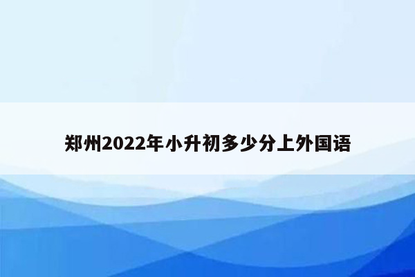 郑州2022年小升初多少分上外国语