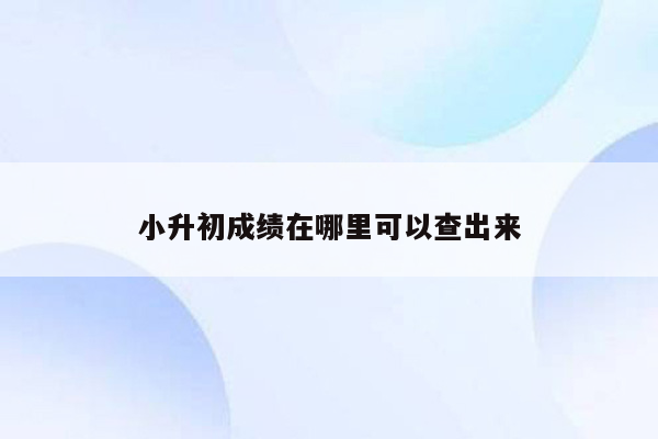 小升初成绩在哪里可以查出来