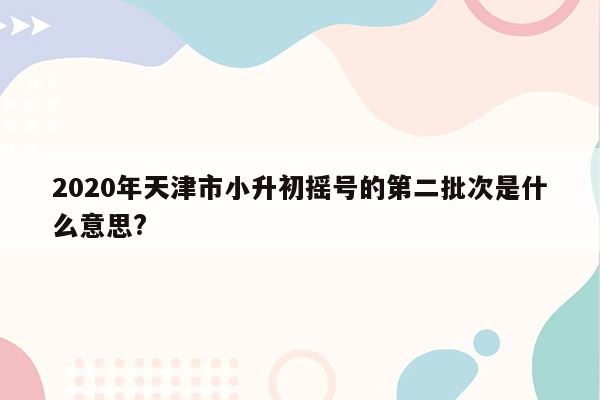 2020年天津市小升初摇号的第二批次是什么意思?