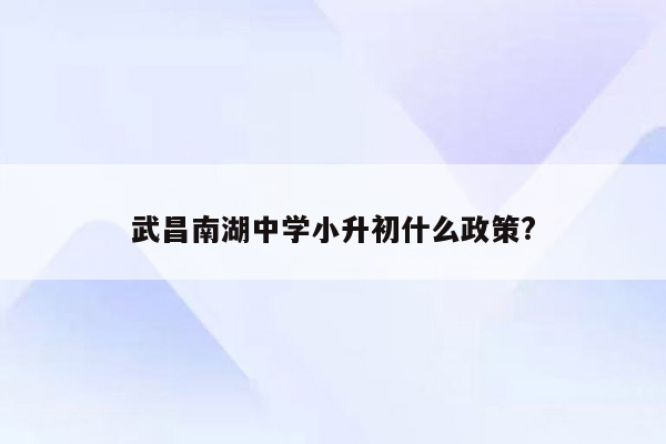 武昌南湖中学小升初什么政策?