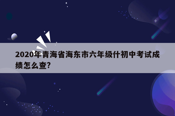 2020年青海省海东市六年级什初中考试成绩怎么查?