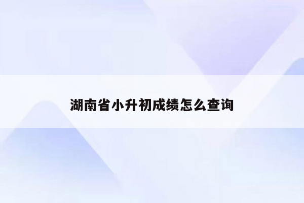 湖南省小升初成绩怎么查询