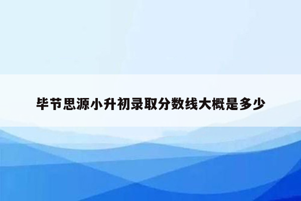 毕节思源小升初录取分数线大概是多少