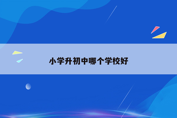 小学升初中哪个学校好