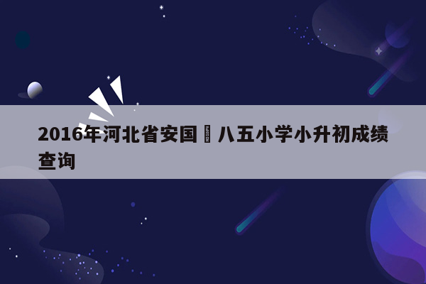 2016年河北省安国巿八五小学小升初成绩查询