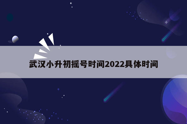 武汉小升初摇号时间2022具体时间