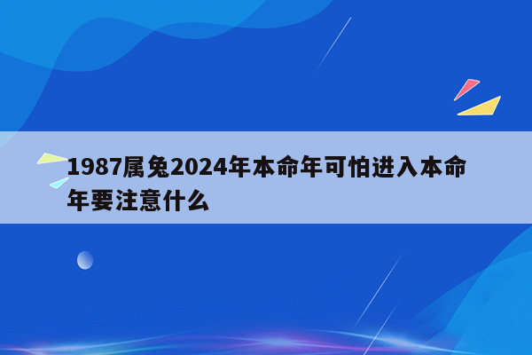 1987属兔2024年本命年可怕进入本命年要注意什么