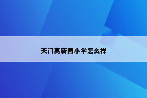 天门高新园小学怎么样