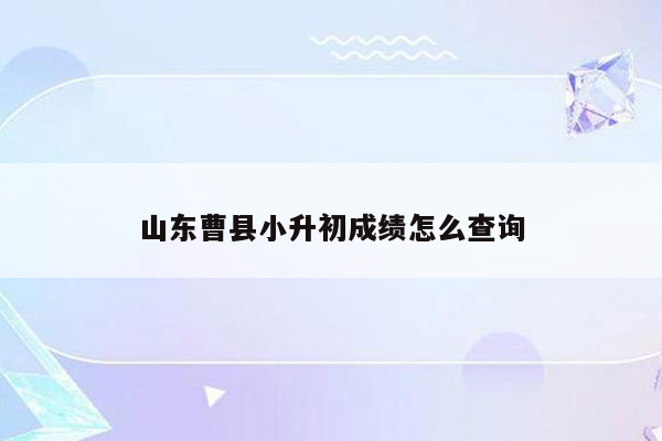 山东曹县小升初成绩怎么查询