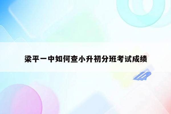 梁平一中如何查小升初分班考试成绩