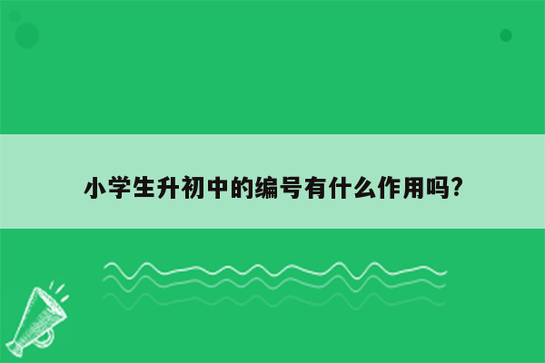 小学生升初中的编号有什么作用吗?