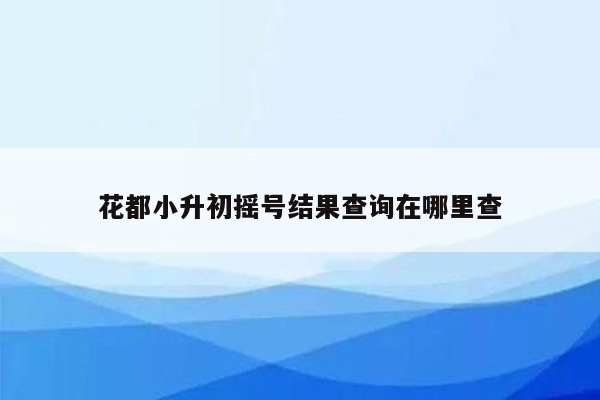 花都小升初摇号结果查询在哪里查