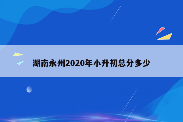 湖南永州2020年小升初总分多少