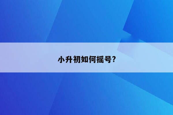 小升初如何摇号?