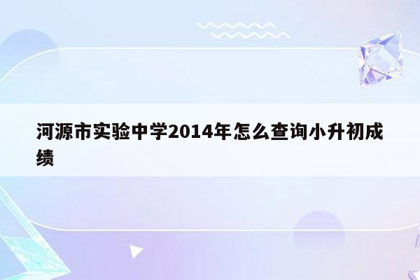 河源市实验中学2014年怎么查询小升初成绩