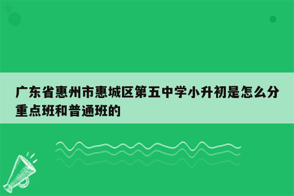 广东省惠州市惠城区第五中学小升初是怎么分重点班和普通班的