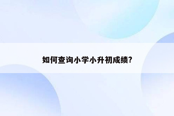 如何查询小学小升初成绩?