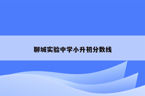 聊城实验中学小升初分数线