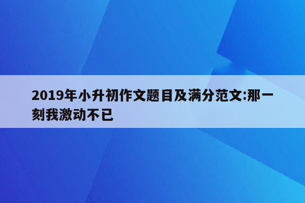 2019年小升初作文题目及满分范文:那一刻我激动不已