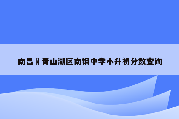 南昌巿青山湖区南钢中学小升初分数查询