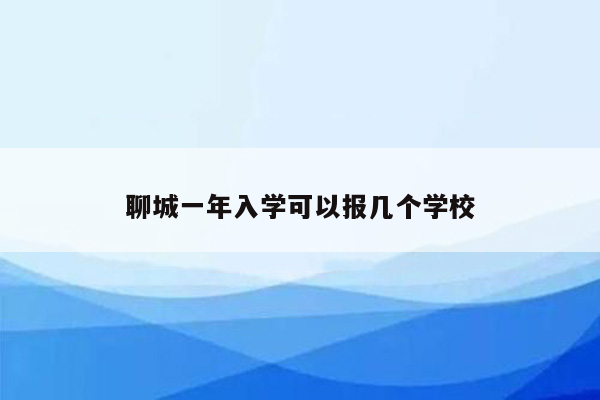 聊城一年入学可以报几个学校