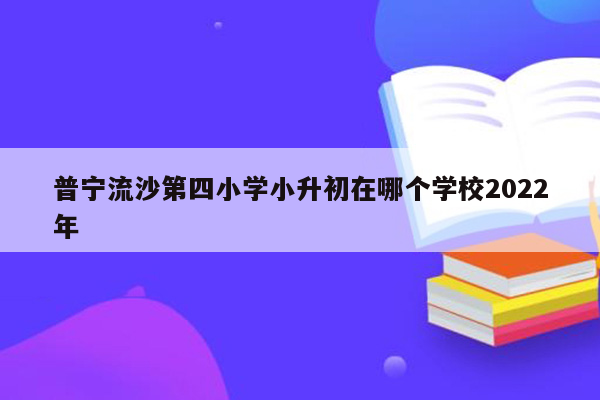 普宁流沙第四小学小升初在哪个学校2022年